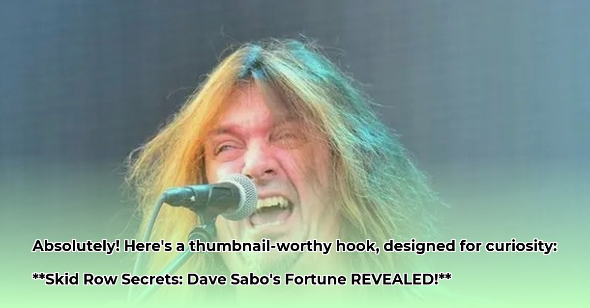 dave-sabo-net-worth